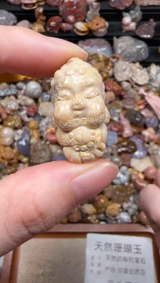 硅化珊瑚（珊瑚玉）未镶嵌颈饰055