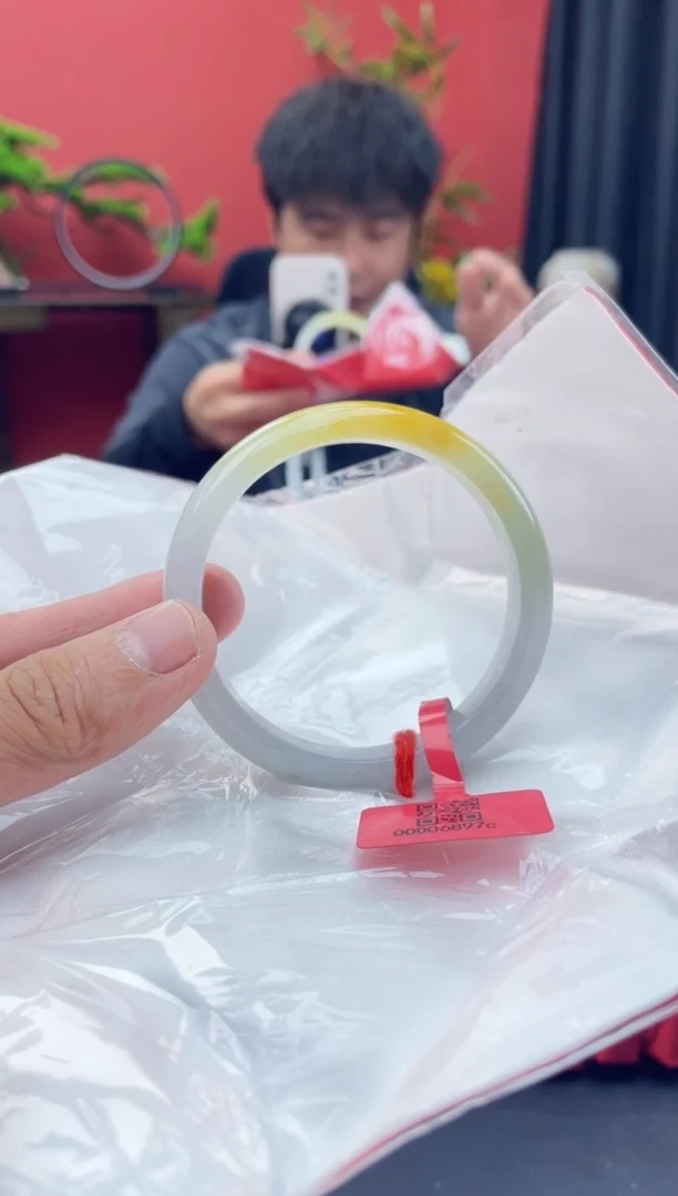 未镶嵌手镯翡翠3