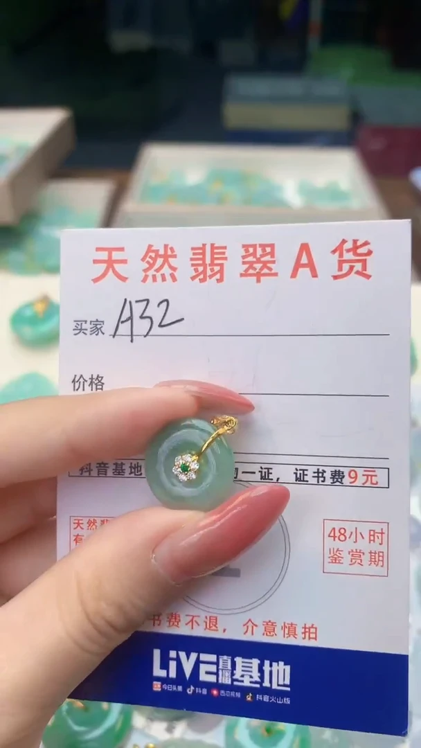 颈饰未镶嵌翡翠天然A货翡翠挂件