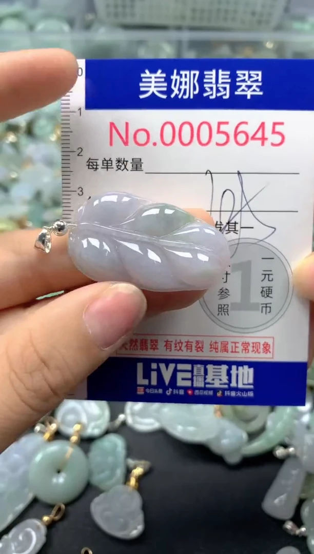 颈饰未镶嵌翡翠5645