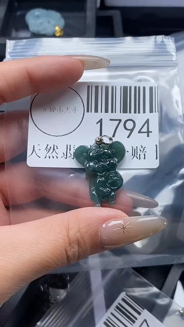 颈饰未镶嵌翡翠1794