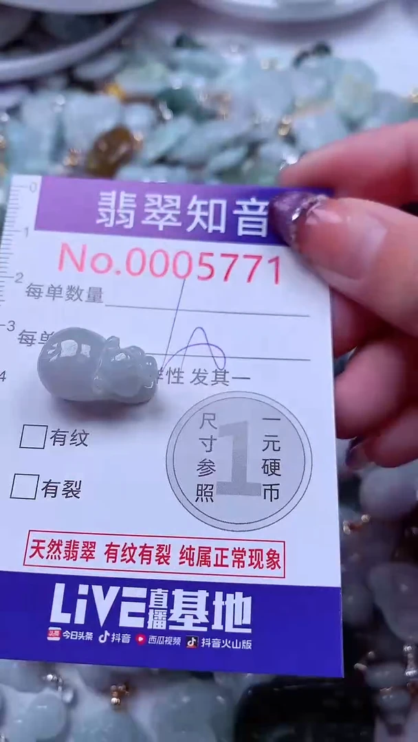 翡翠未镶嵌吊坠(不含链)5771