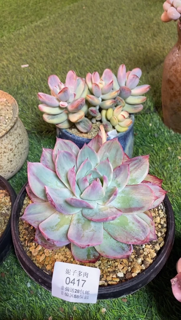 【闪购商品】0417a