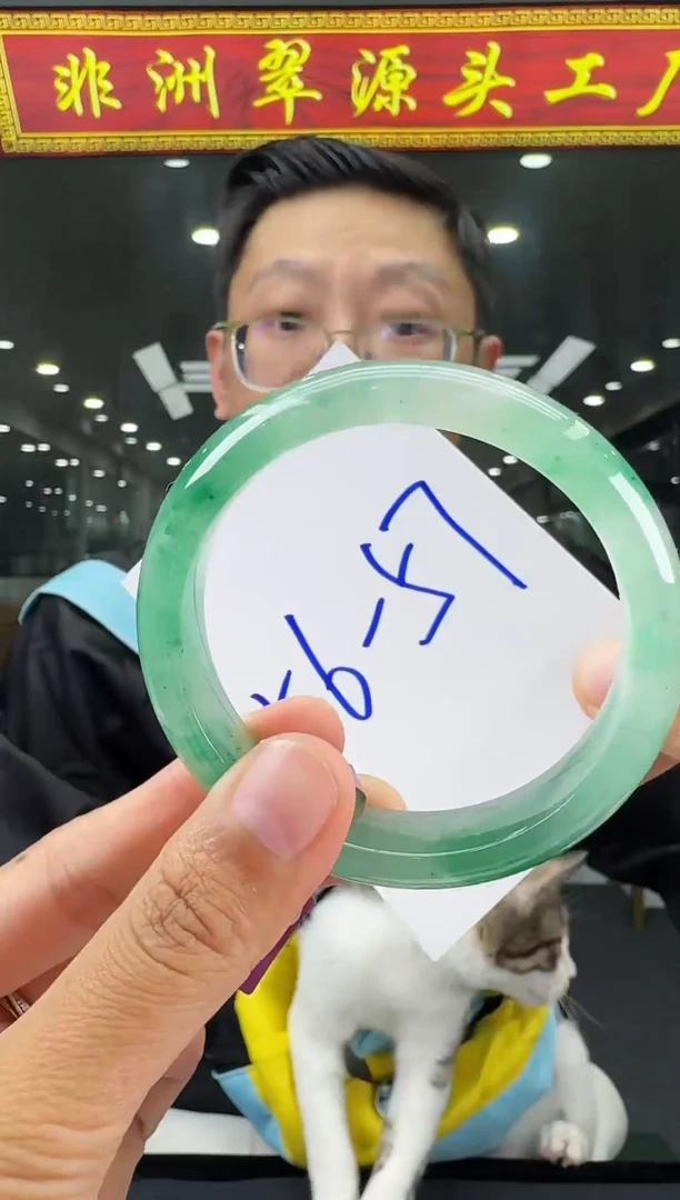 石英质玉（非洲翠）手镯未镶嵌100