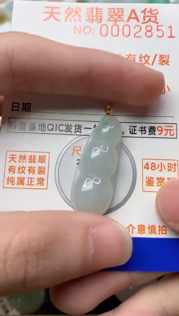 【闪购商品】翡翠颈饰18K金镶嵌2.........