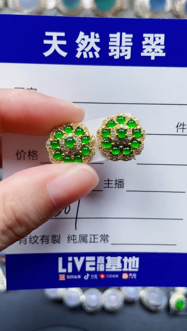 银S925镶嵌翡翠耳饰307
