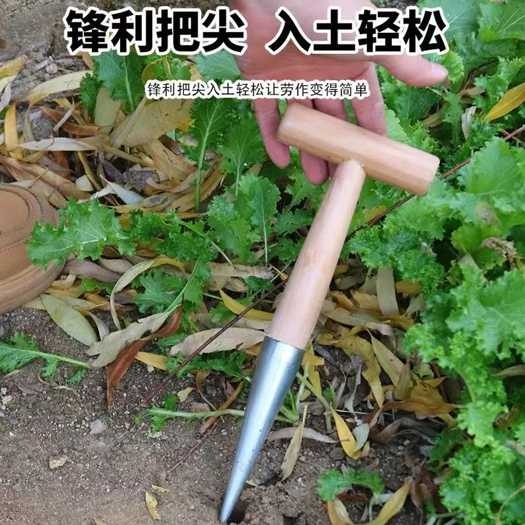 种菜播种打洞工具移苗追肥木柄育苗播籽器花园多肉种苗打孔器