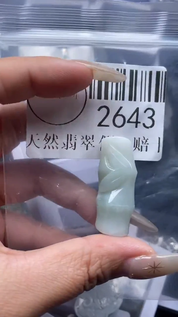 颈饰未镶嵌翡翠2643