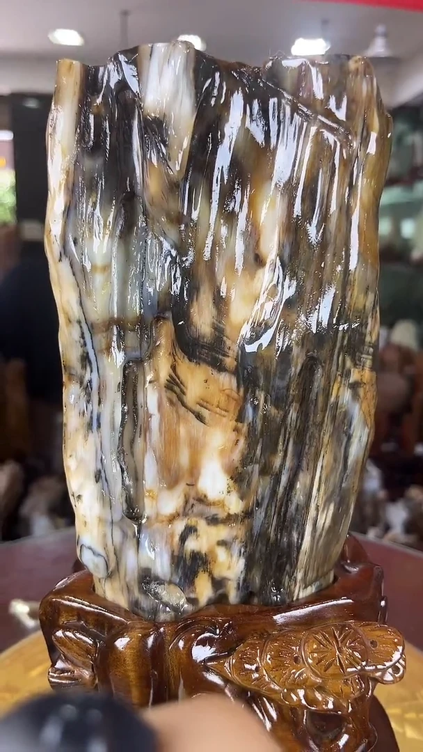 硅化玉珠宝奇石未镶嵌缅甸天然树化玉