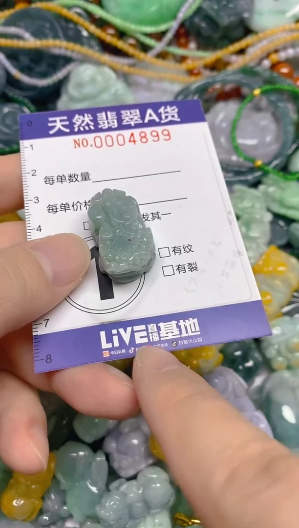 颈饰未镶嵌翡翠0004899多样性发其一