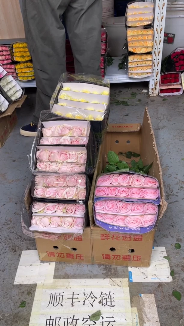 粉红2扎+奶油杯1扎+粉荔枝1扎