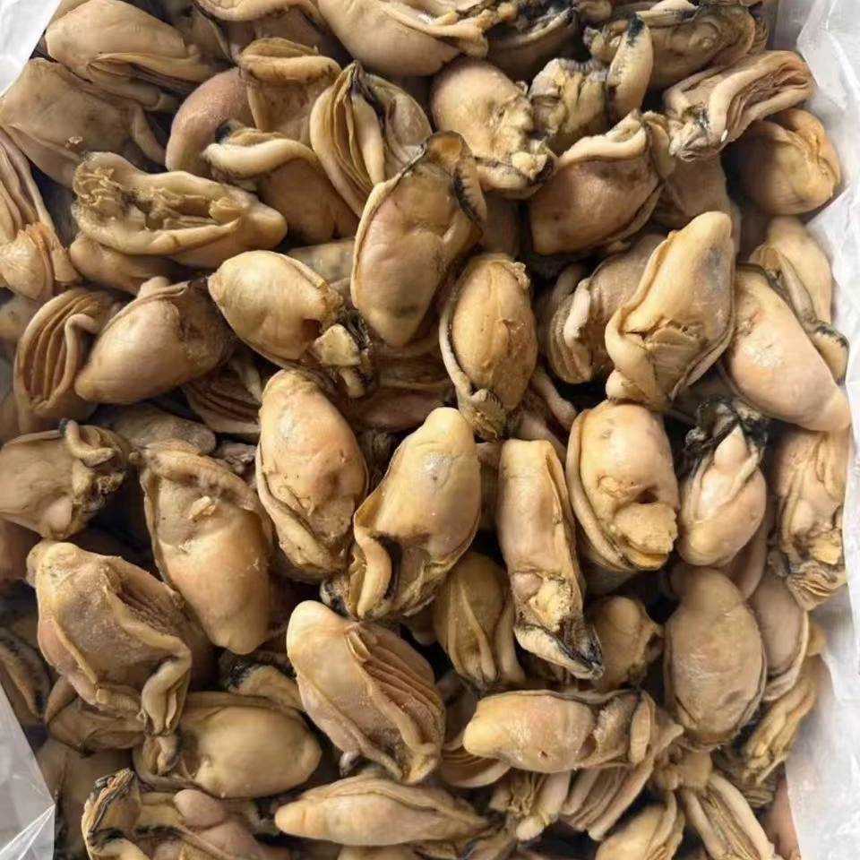 台山 80头大金蚝天然生晒无抽油新晒蚝干 正宗台山金蚝