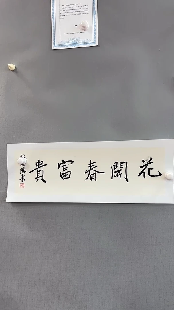 【闪购商品】书法雅艺典藏文化书法