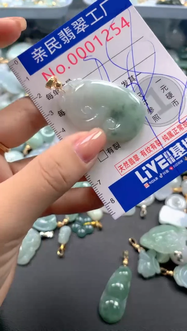 颈饰未镶嵌翡翠1254