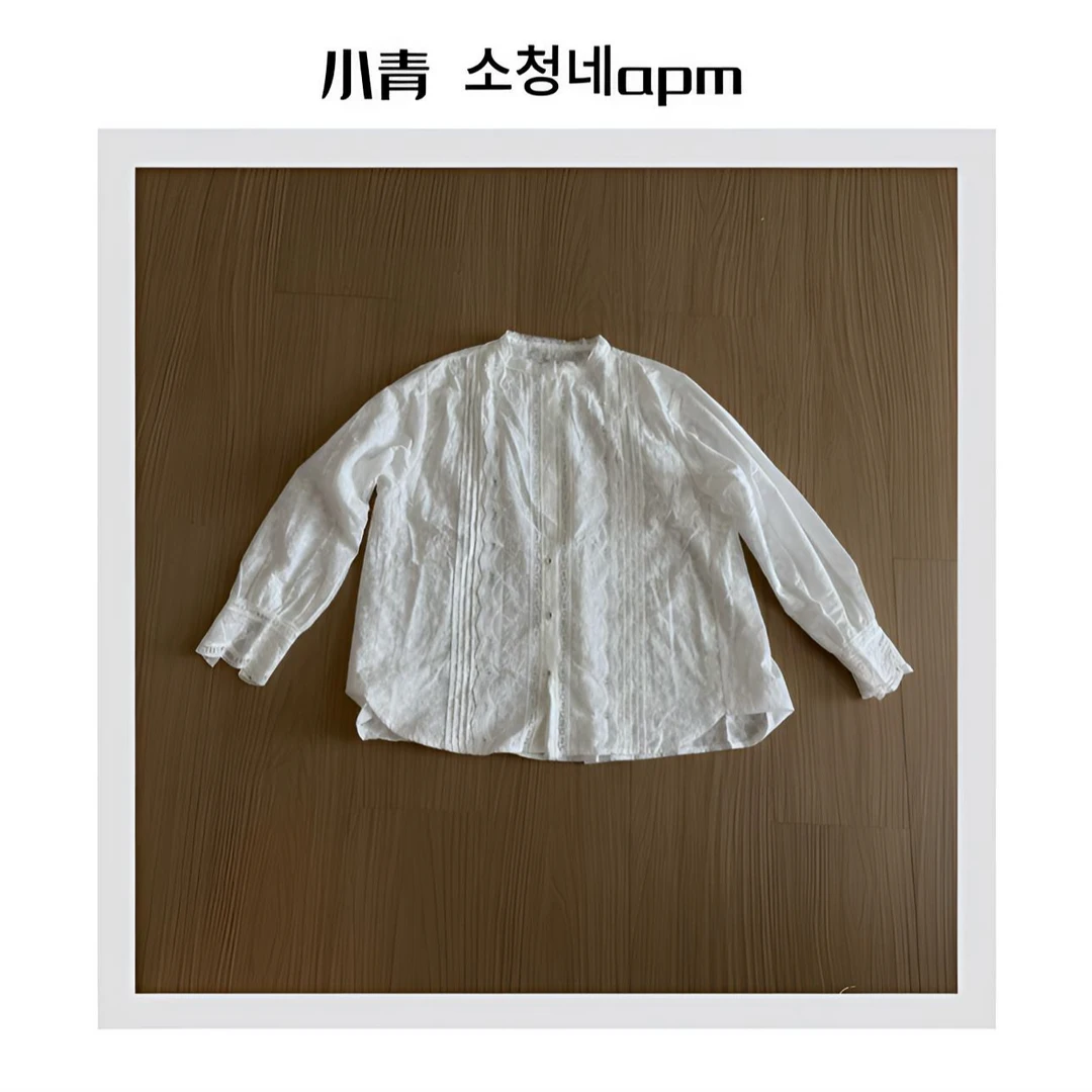 韩国东大门 蝴蝶结/蕾丝领提花刺绣衬衫