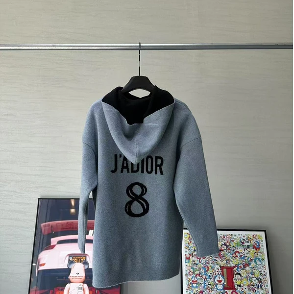 全新未使用 DIOR/迪奥 连帽logo长袖卫衣 蓝色/34
