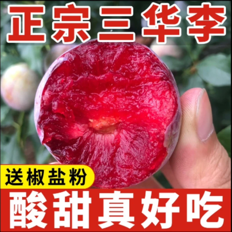 B现摘现发三华李红心李酸甜爽脆孕妇喜爱的应季水果