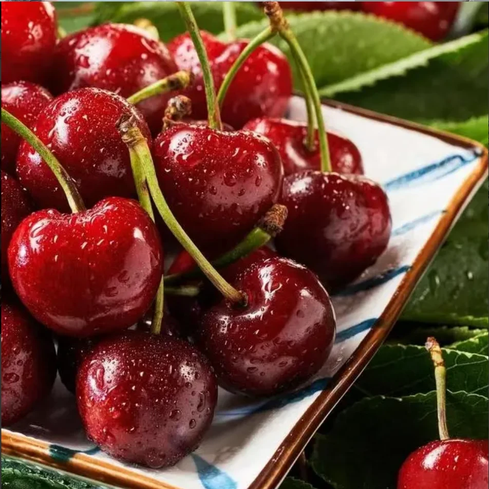 车厘子瑞吉娜JJD2KG 哈尔滨同城小时达