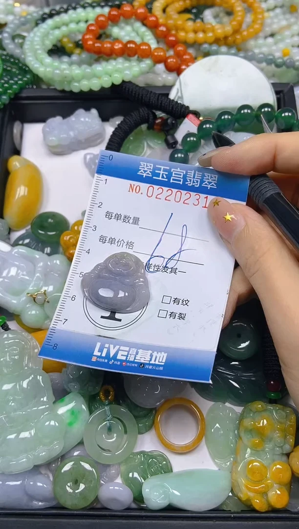 颈饰未镶嵌翡翠闪购C0220231