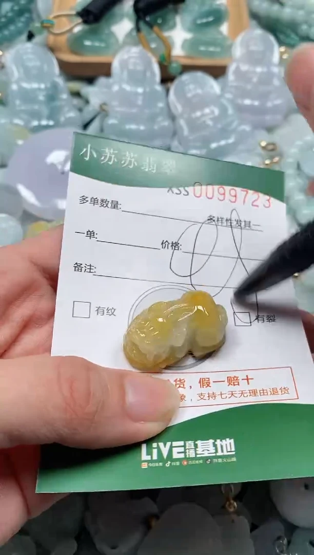 【闪购商品】翡翠颈饰未镶嵌闪购商品0099723