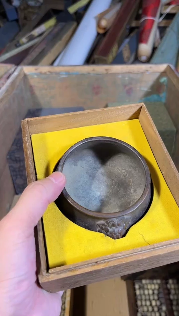 黄杨木11111111111111111