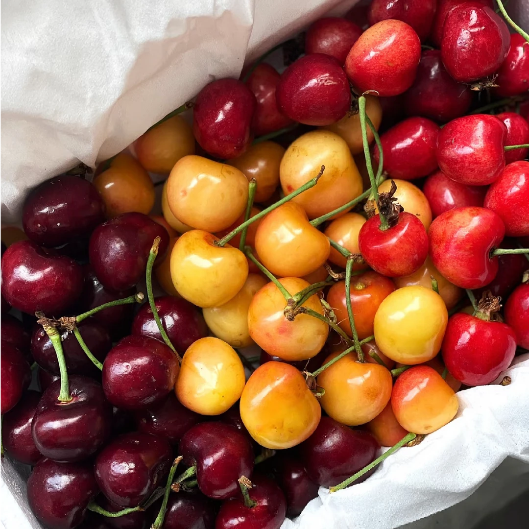 dm大连陆地樱桃大果三拼色红黄紫（萨米托、美早、明珠）5斤和3斤装J产地现摘现发【顺丰次日达】美早＋明珠＋沙米托