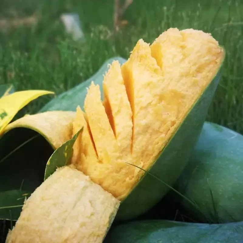 【广西桂七芒】果核薄肉厚香甜原产地直发树上熟芒果大果整箱包邮
