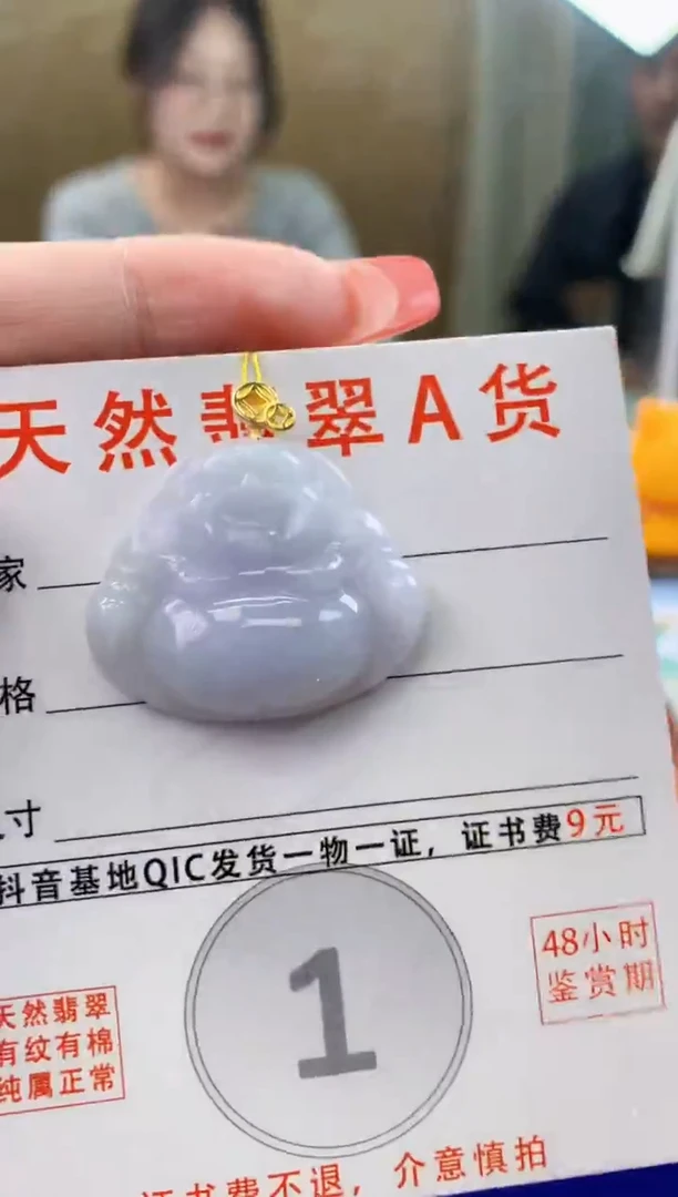 颈饰未镶嵌翡翠天然A货翡翠挂件