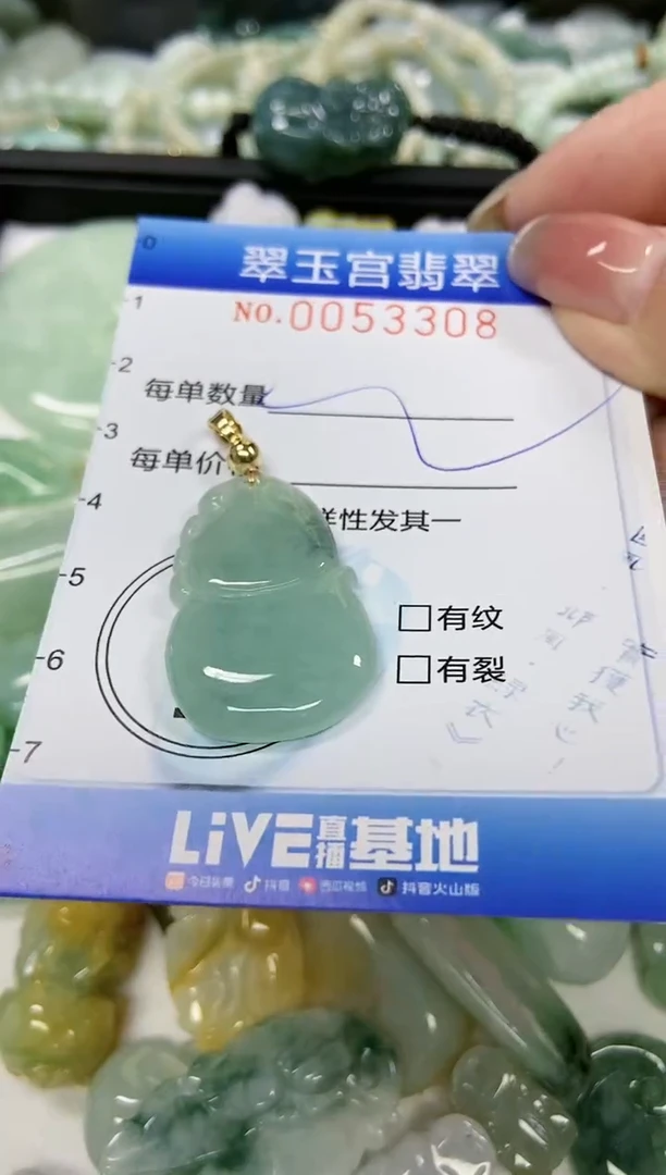 【闪购商品】翡翠颈饰未镶嵌闪购0053308