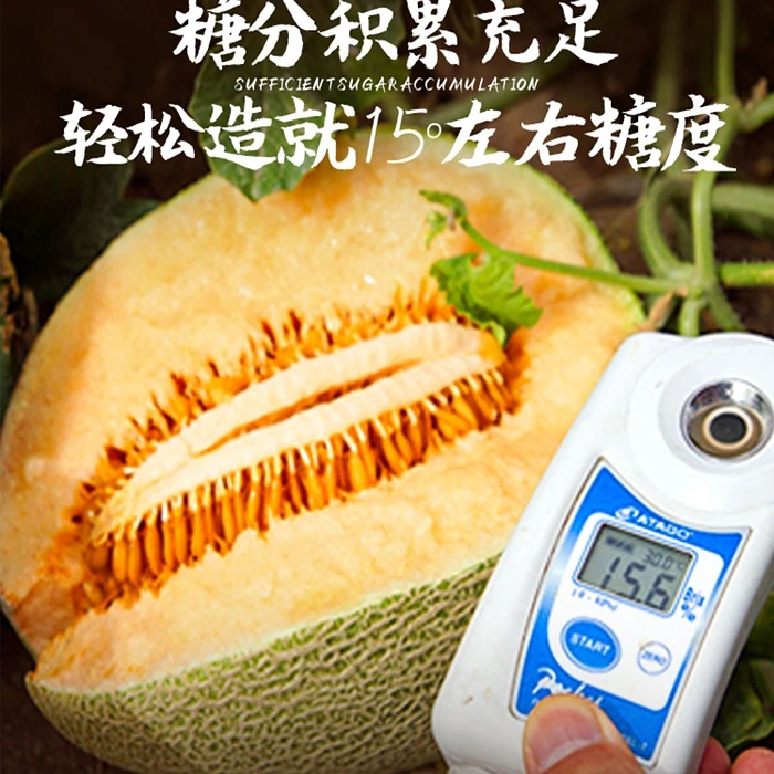 【7.28发货】新疆哈密市淖毛湖晚熟陆地西州蜜哈密瓜