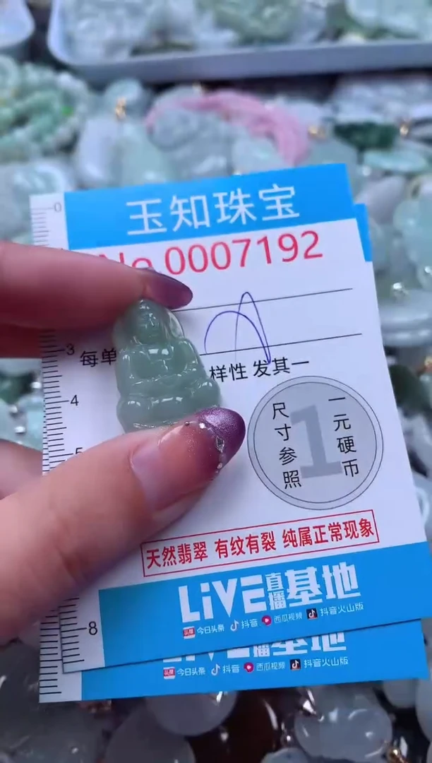 翡翠未镶嵌吊坠(不含链)7192