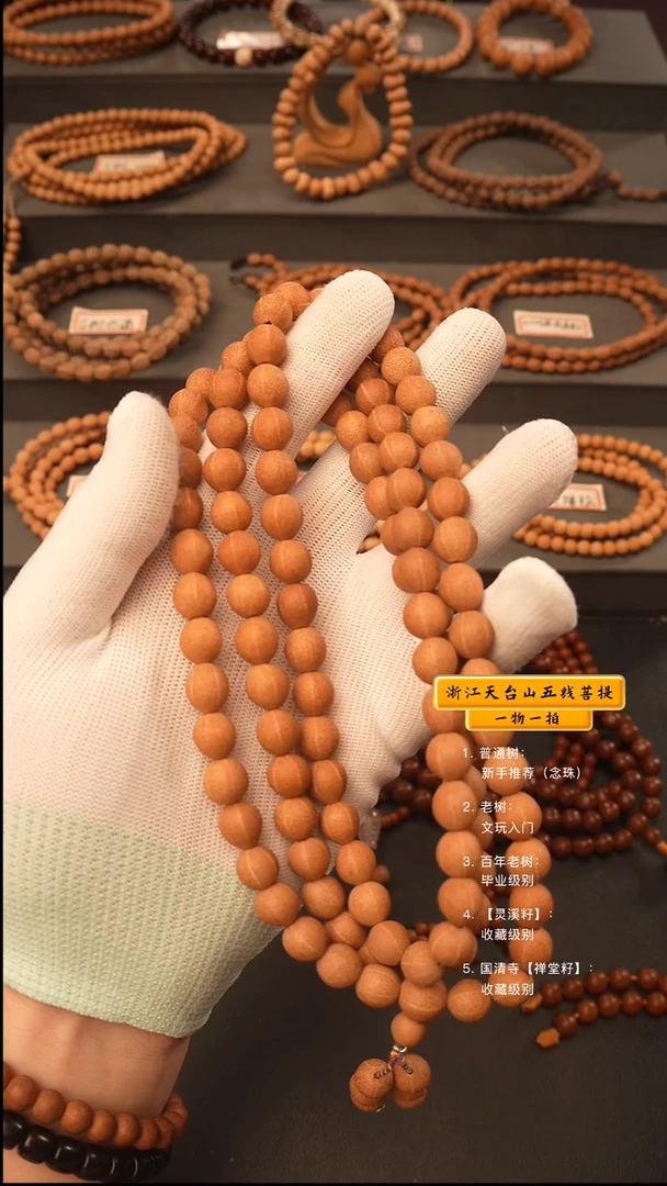 吊坠五线菩提路***咪y脖挂