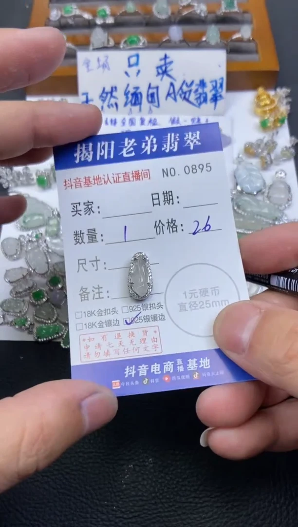 【闪购商品】翡翠颈饰银S925镶嵌多样性发其中一件