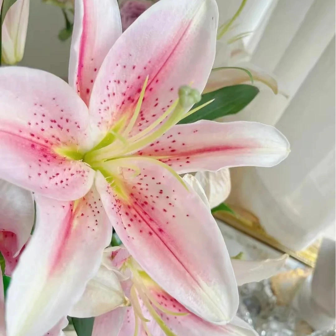 【登善云端】新提伯单瓣香水百合花水培云南昆明鲜花直发云南鲜花