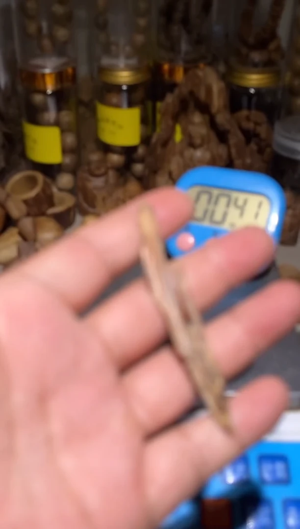 沉香沉香碎屑 密支那1（克）