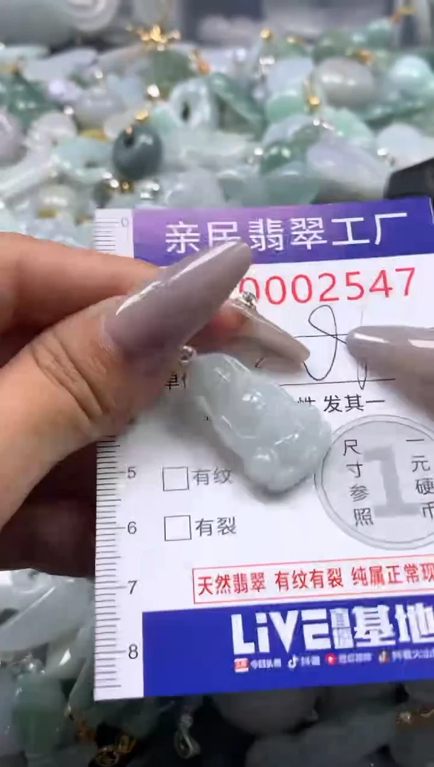 颈饰未镶嵌翡翠2547