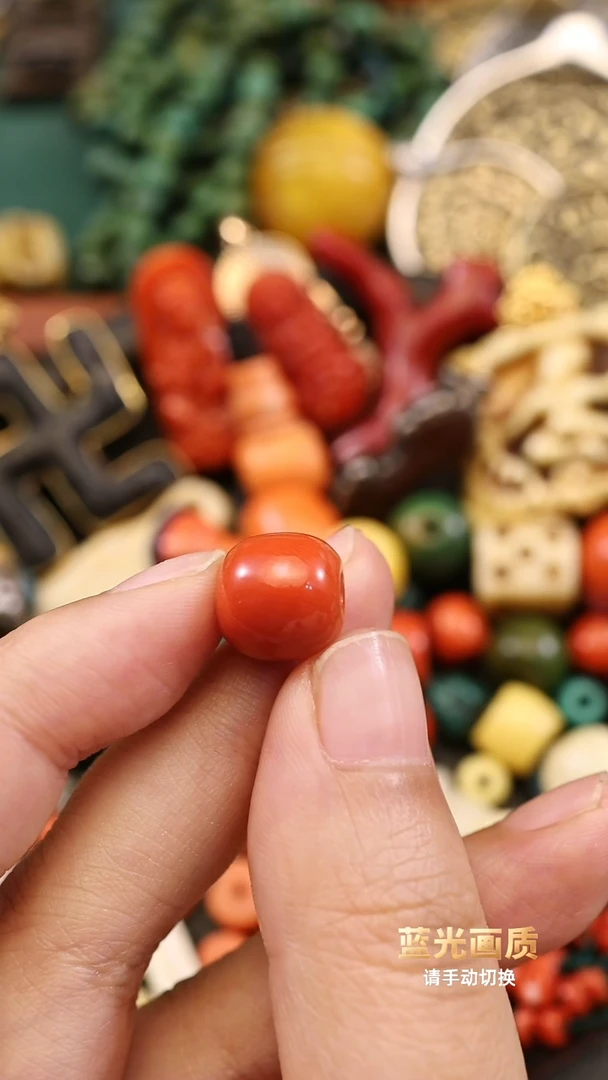 红单珠。。。。。。。。。。