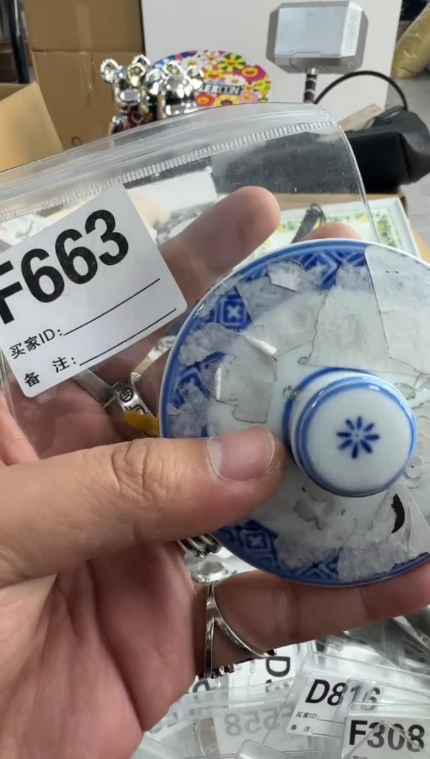 【闪购商品】瓷片663 ++00000000000