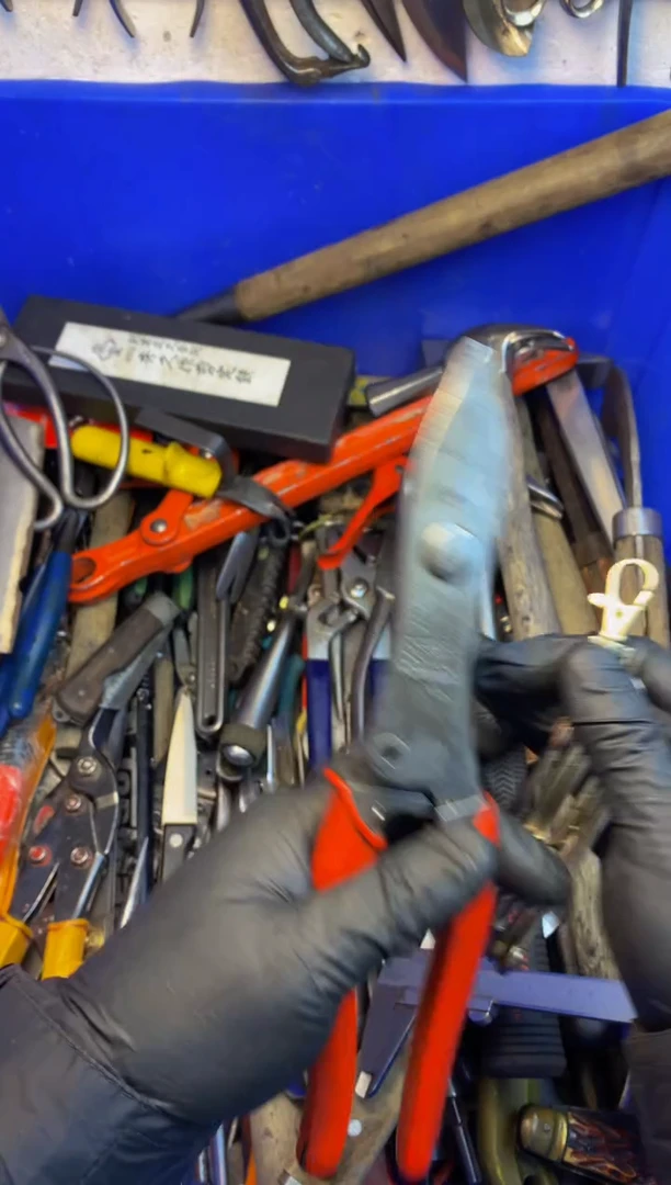 至*宝可乐日本工具仓库闪购链接