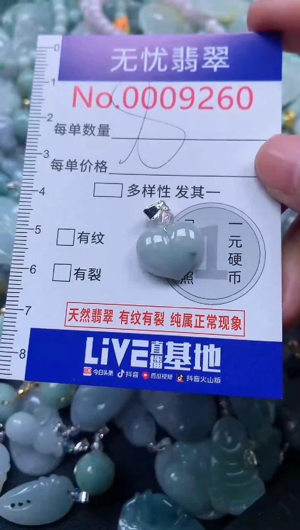 颈饰未镶嵌翡翠9260