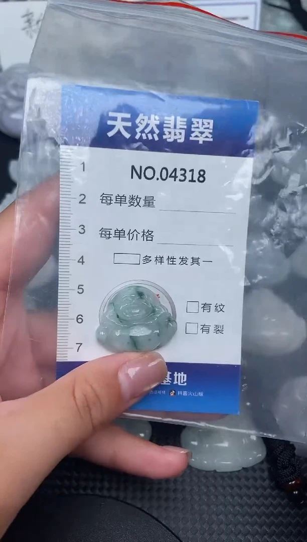 颈饰未镶嵌翡翠纯天然A货翡翠4318