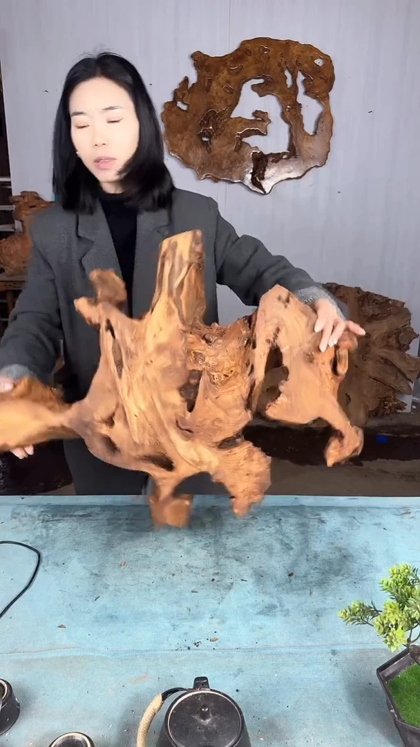 【闪购商品】香杉木木艺杉木瘤随型【原料】051