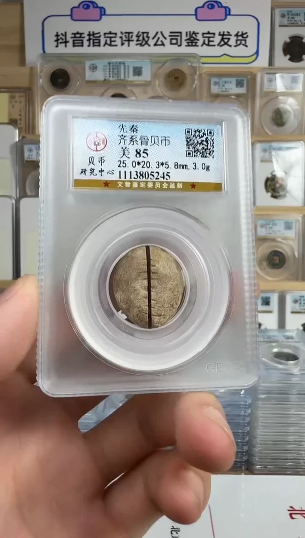 铜先秦 骨贝币 85分 5245