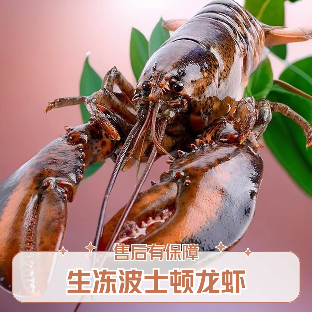 特大号鲜活冷冻波士顿龙虾6-8斤全国包邮