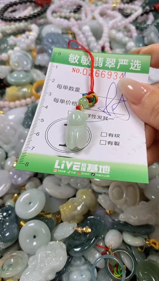 翡翠未镶嵌颈饰闪购0266934多样性发其一