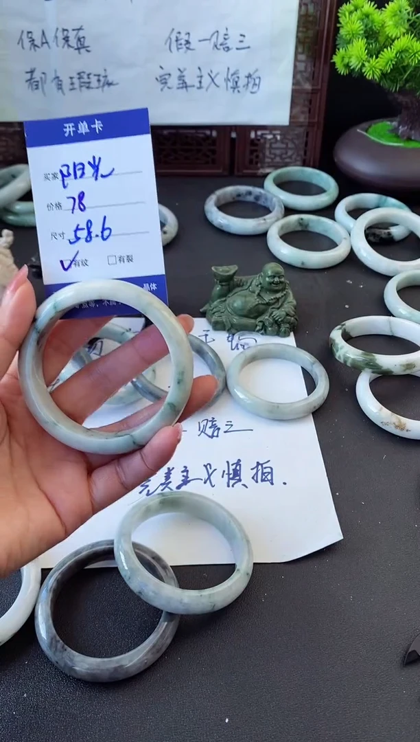未镶嵌手镯翡翠阳****埃翡翠手镯#5