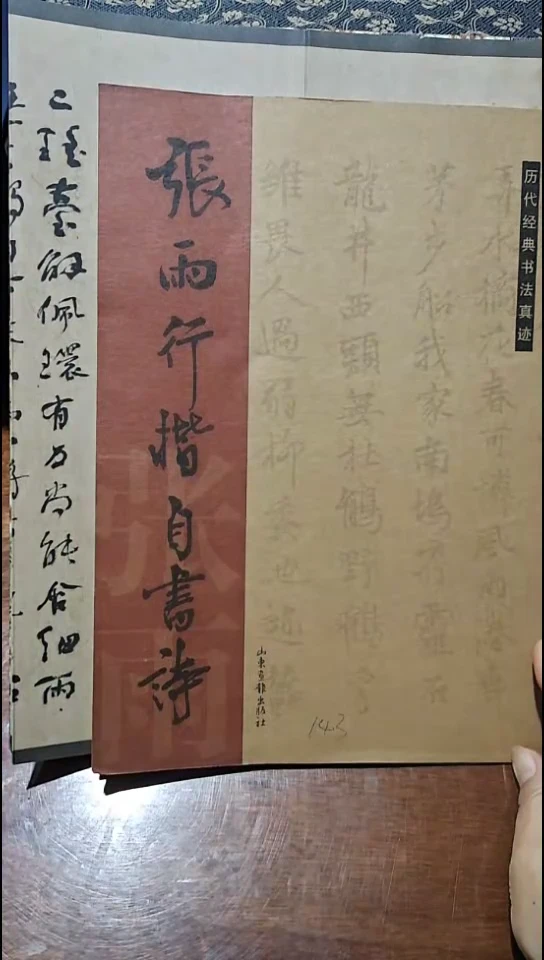 张雨行楷自书诗书法