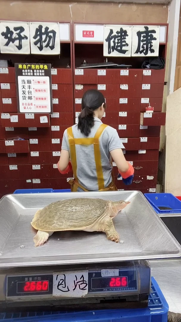 中国大陆锦***厂2斤一只