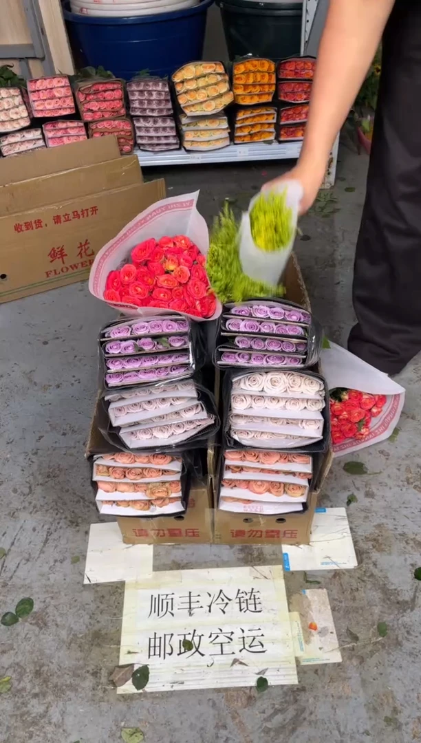卡布20枝+曼塔20枝+海洋之歌20枝+爱丽丝10枝+黄莺