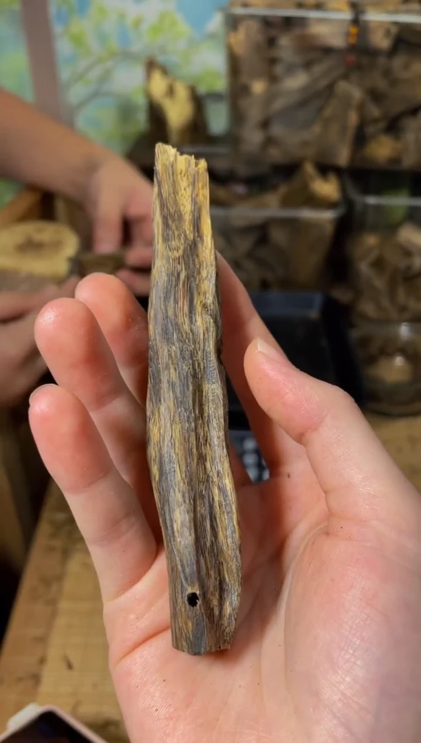 沉香碎屑沉香虫漏91